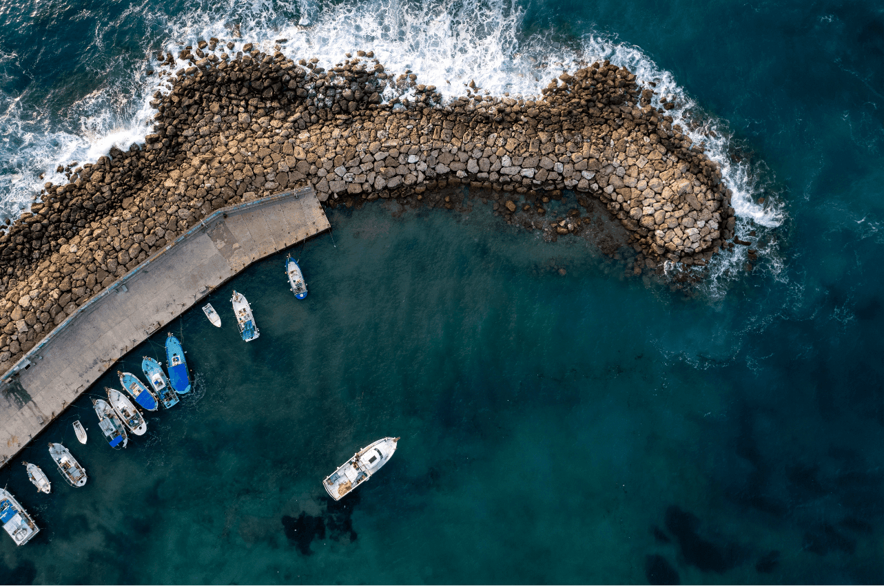 Safe Harbour Advisory Services: Wexted Introduces Australia's First Structured Suite for Directors Navigating Financial Distress